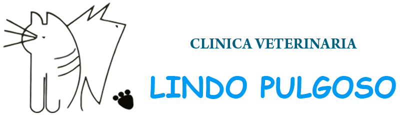 Lindo Pulgoso Clinica Veterinaria